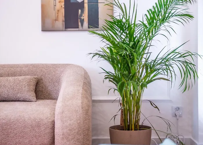 Mikolowska Z Balkonem Lägenhet *